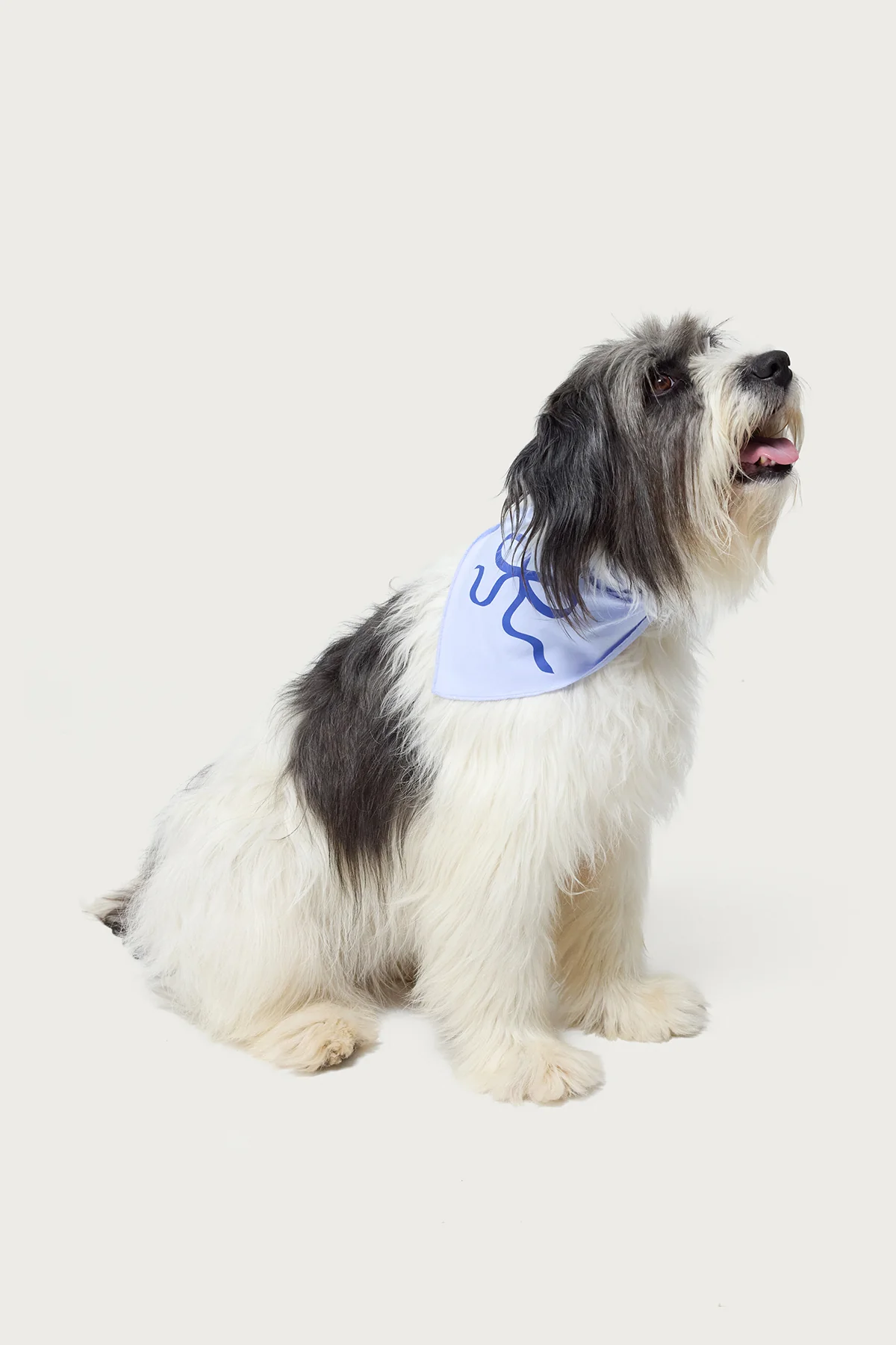 Bonney Bow Pet Bandana