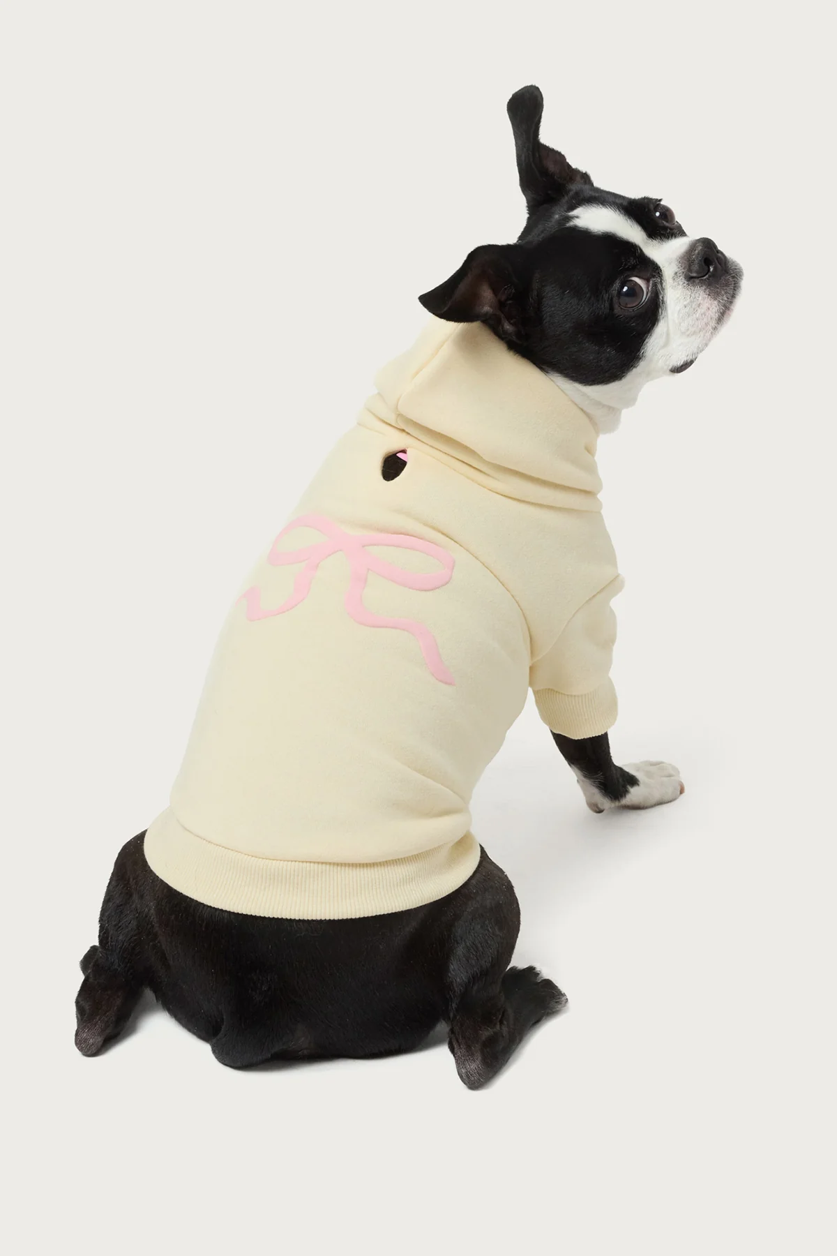 Bonney Bow Pet Hoodie - Image 3