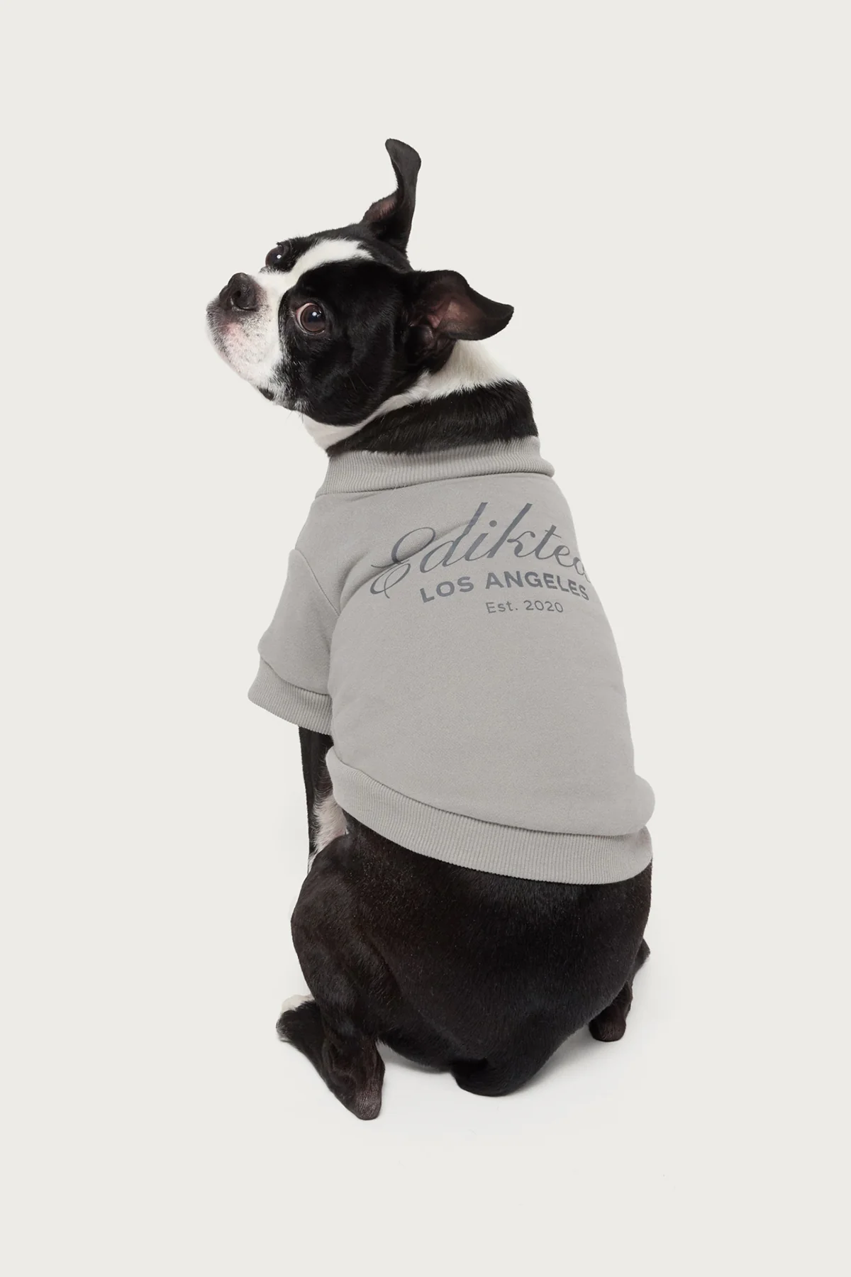 Get Edikted Pet Sweatshirt - Image 2