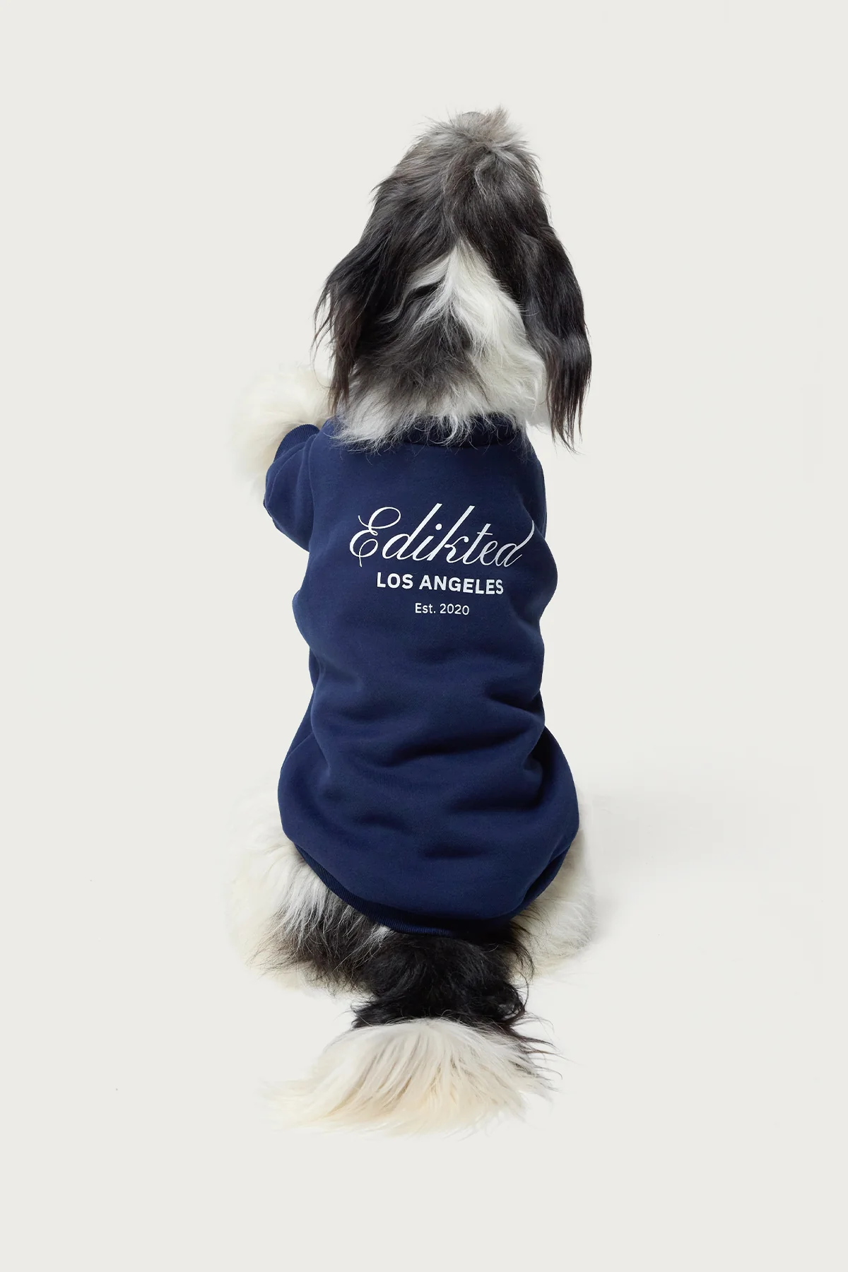 Get Edikted Pet Sweatshirt - Image 2